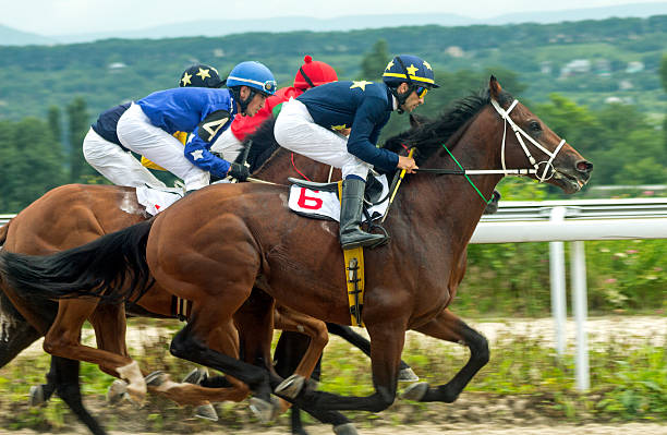 Horse Racing Odds Malaysia