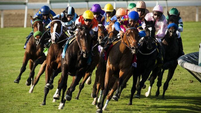 citibet horse racing games in singapore